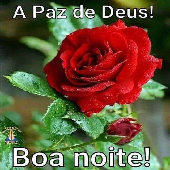 A paz de Deus