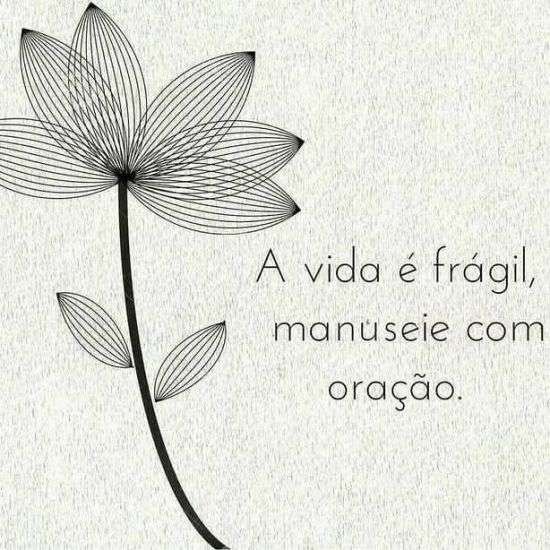 A vida é frágil
