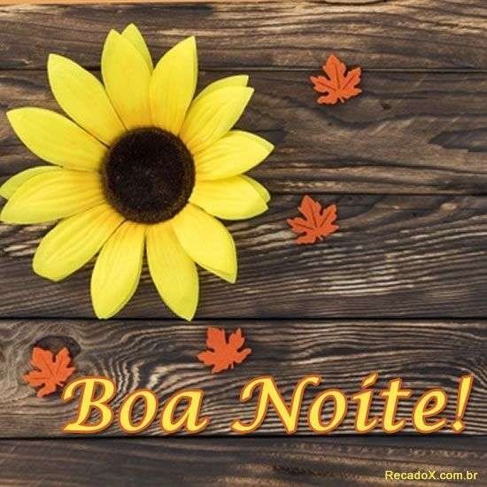Boa noite