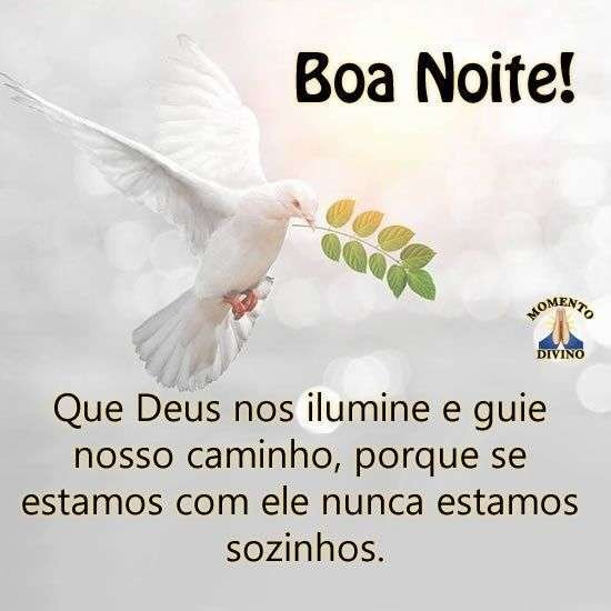Boa noite