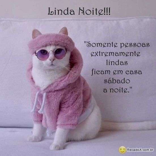 Boa noite de sábado