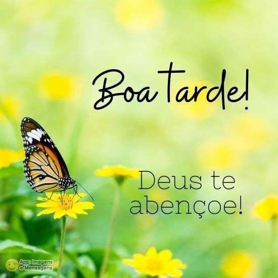 Boa tarde