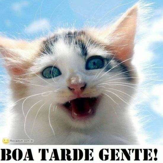Boa tarde gente