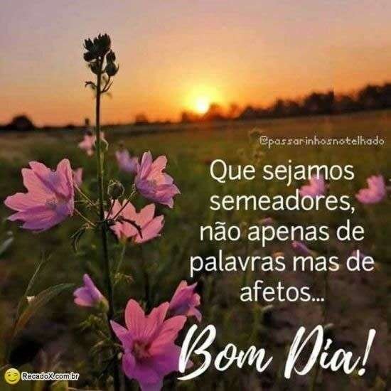 Bom dia