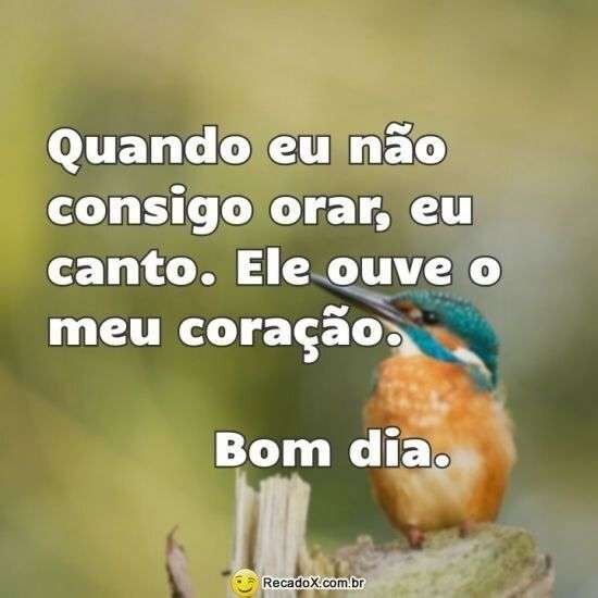 Bom dia