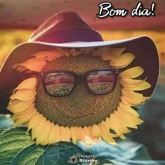 Bom dia