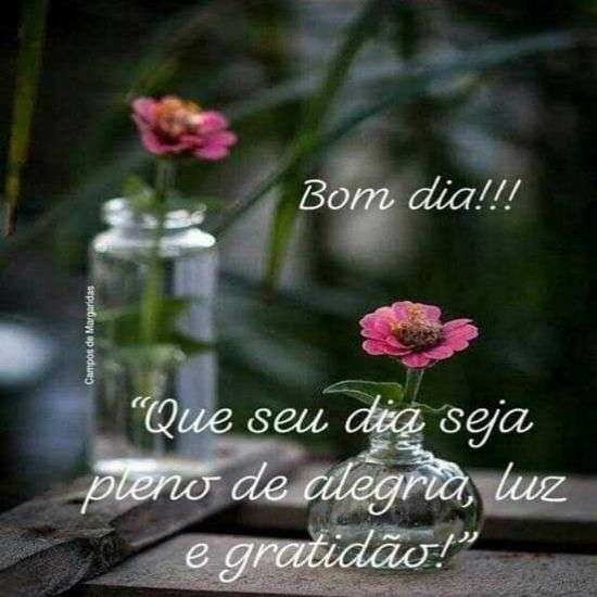 Dia pleno de alegrias