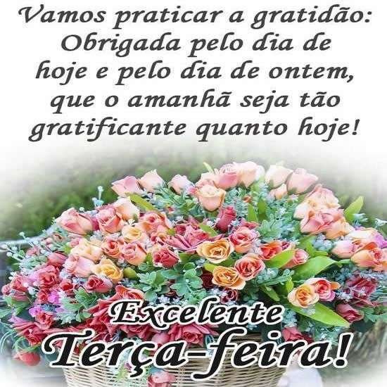 Excelente terça-feira