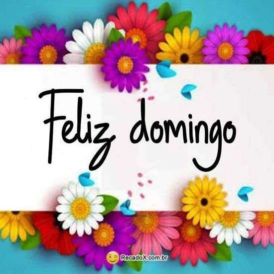 Feliz domingo