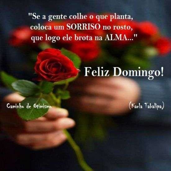 Feliz domingo