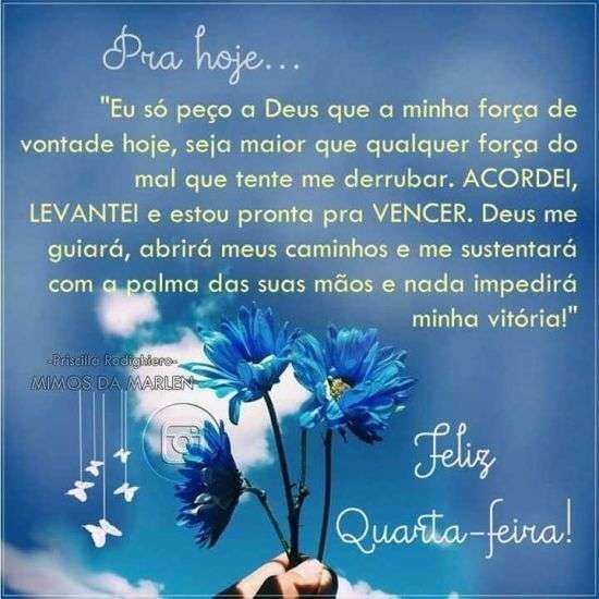 Feliz quarta-feira