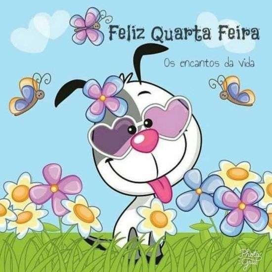 Feliz quarta-feira