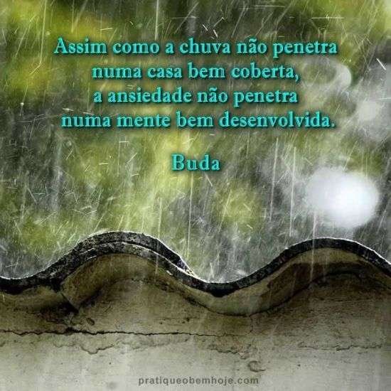 Frase de Buda