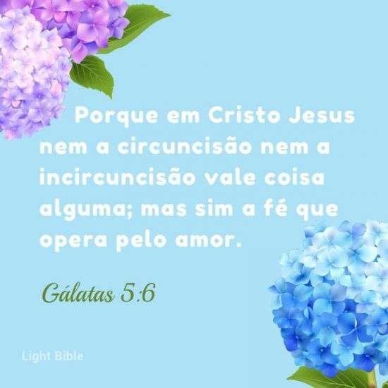 Gálatas 5:6