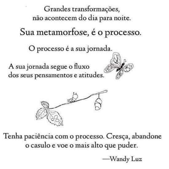 Grandes transformações