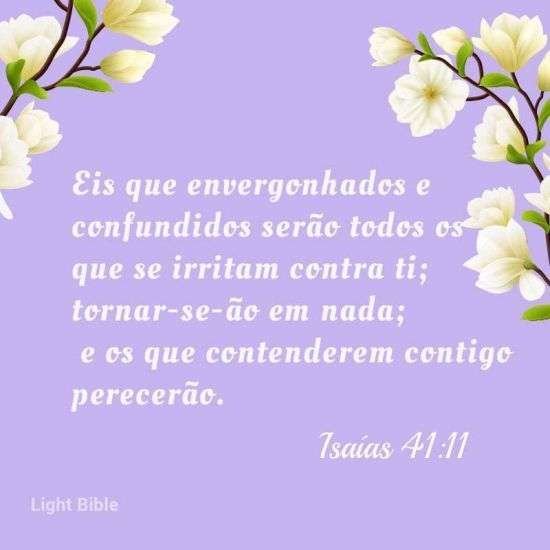Isaías 41:11
