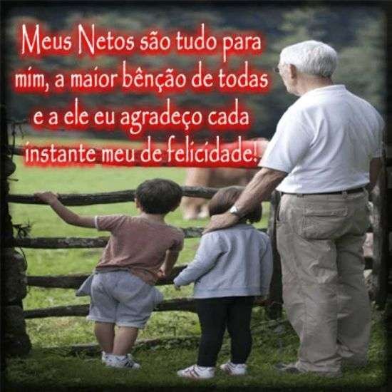 Meus netos são tudo
