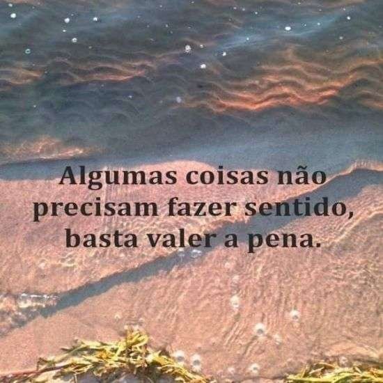 Não precisa fazer sentido