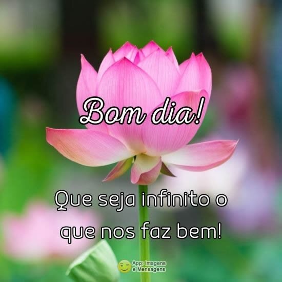 Que seja infinito