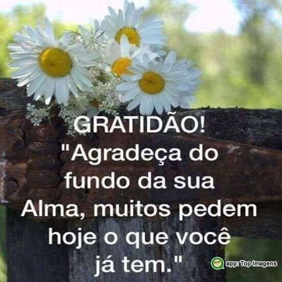 Agradeça do fundo da sua alma