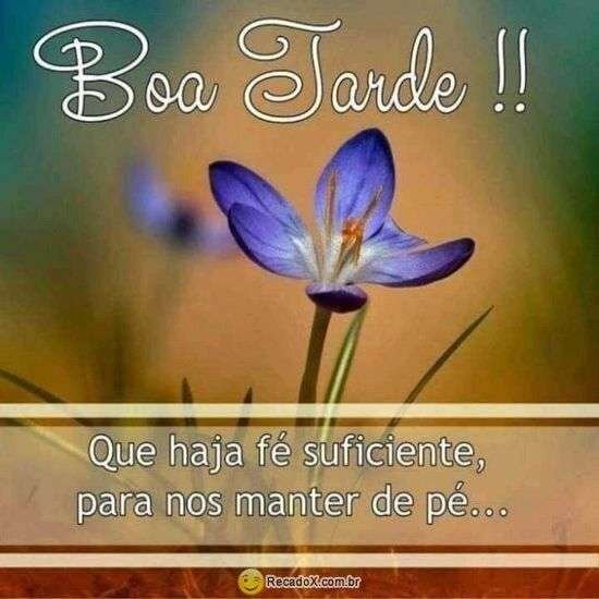 Boa tarde