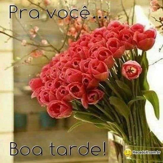 Boa tarde pra você