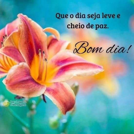 Bom dia
