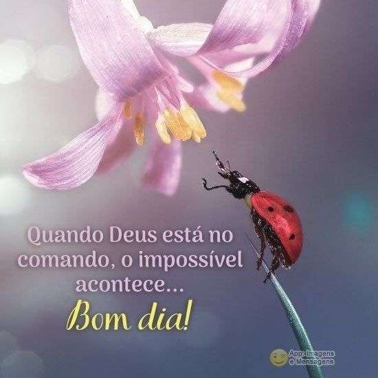 Bom dia