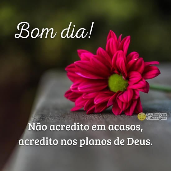 Bom dia