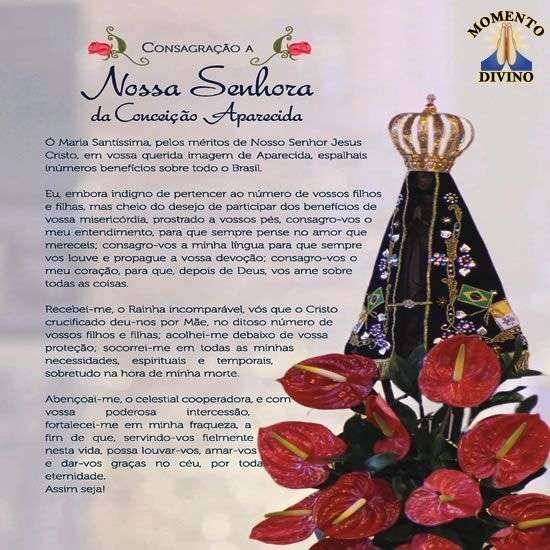 Consagração a Nossa Senhora Aparecida