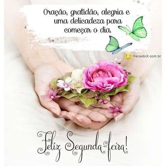 Feliz segunda-feira