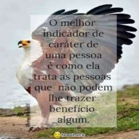 Indicador de caráter