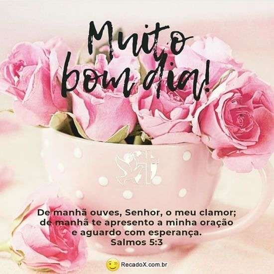 Muito bom dia, Recado X - 953. Muito bom dia, Recado X - 953.