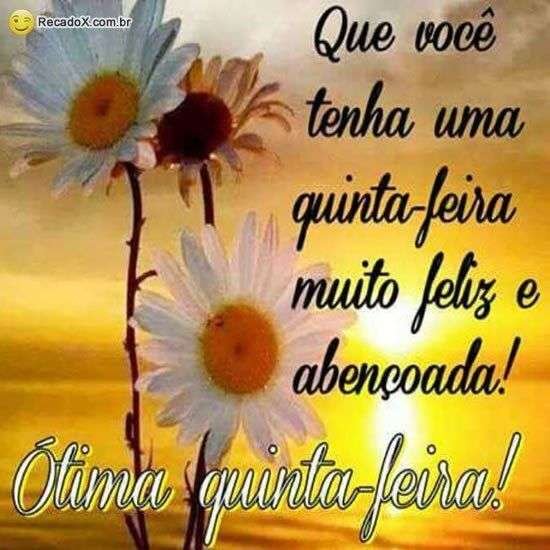 Ótima quinta-feira