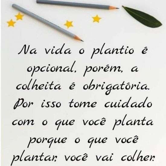 Plantar e colher