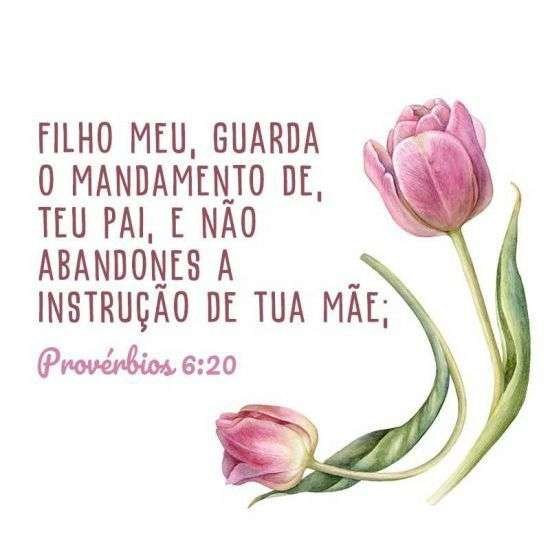 Provérbios 6:20