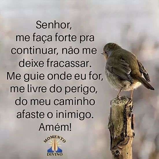 Senhor não me deixe fracassar