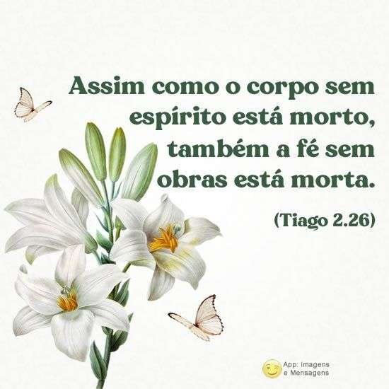 Tiago 2:26