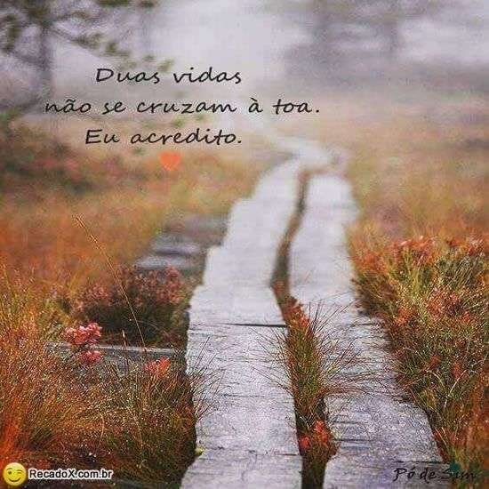 Vidas que se cruzam