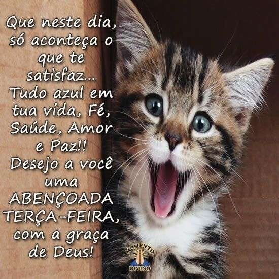 Abençoada Terça-feira