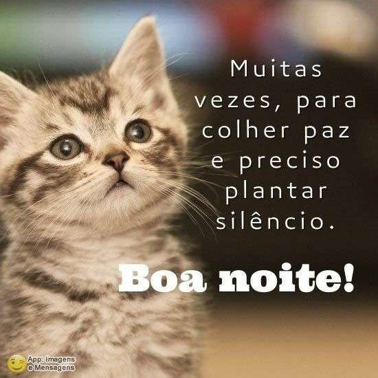 Boa noite