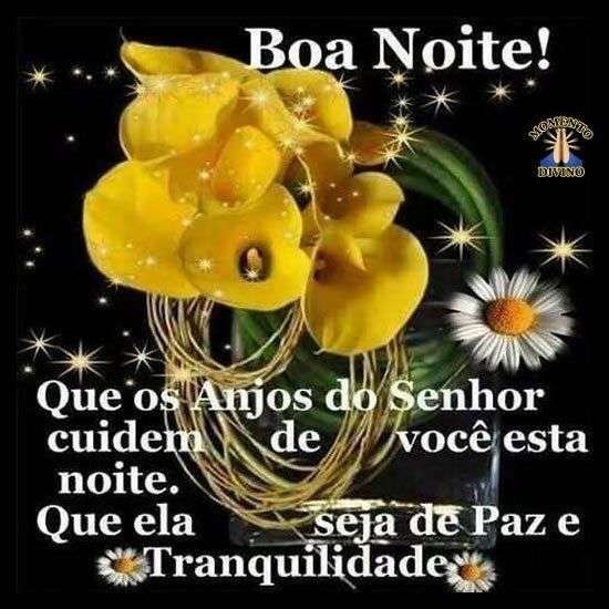 Boa noite