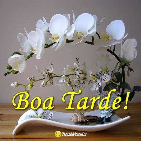 Boa tarde