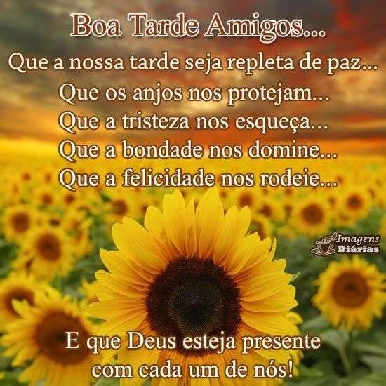 Boa tarde amigos
