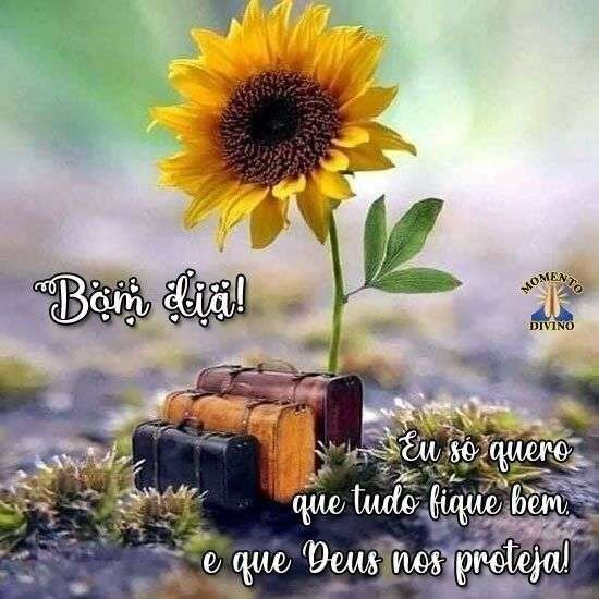 Bom dia