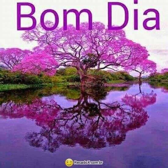 Bom dia