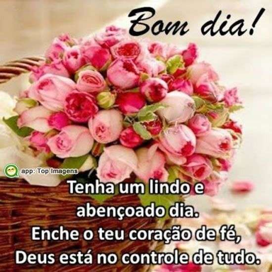Bom dia, Recado X - 1557. Bom dia, Recado X - 1557.