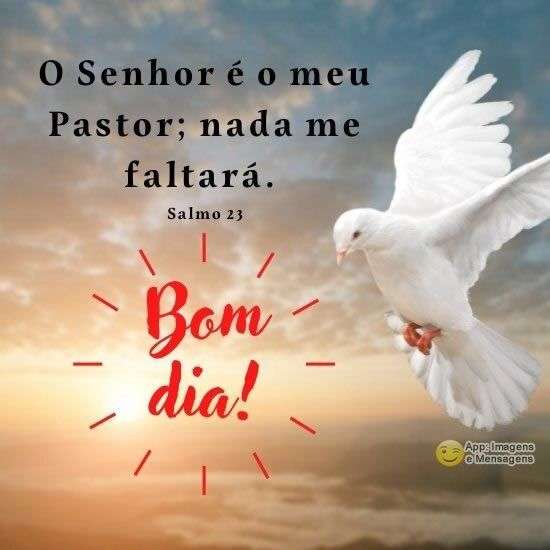 O Senhor é o meu pastor; nada me faltará. Bom dia!🙌📖✨ #versículododi