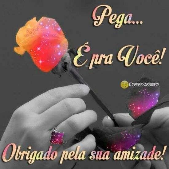 Obrigado pela sua amizade