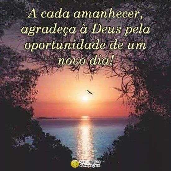 A cada amanhecer agradeça